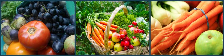 healthy sustainable food systems